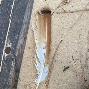 Meet your Posher, Mariah